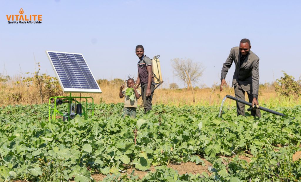 Vitalite customers with installed Solar panels